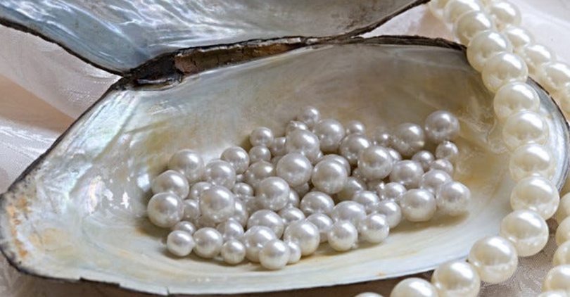 Akoya Pearl Necklace Buying-10
